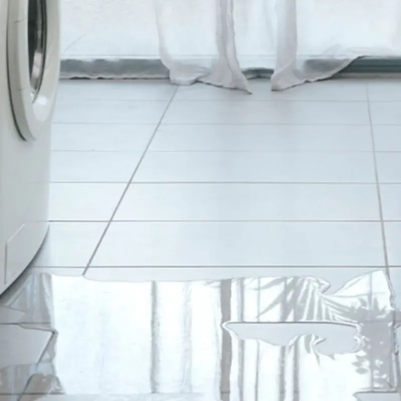 Appliance Leak Cleanup in Ponchatoula, LA