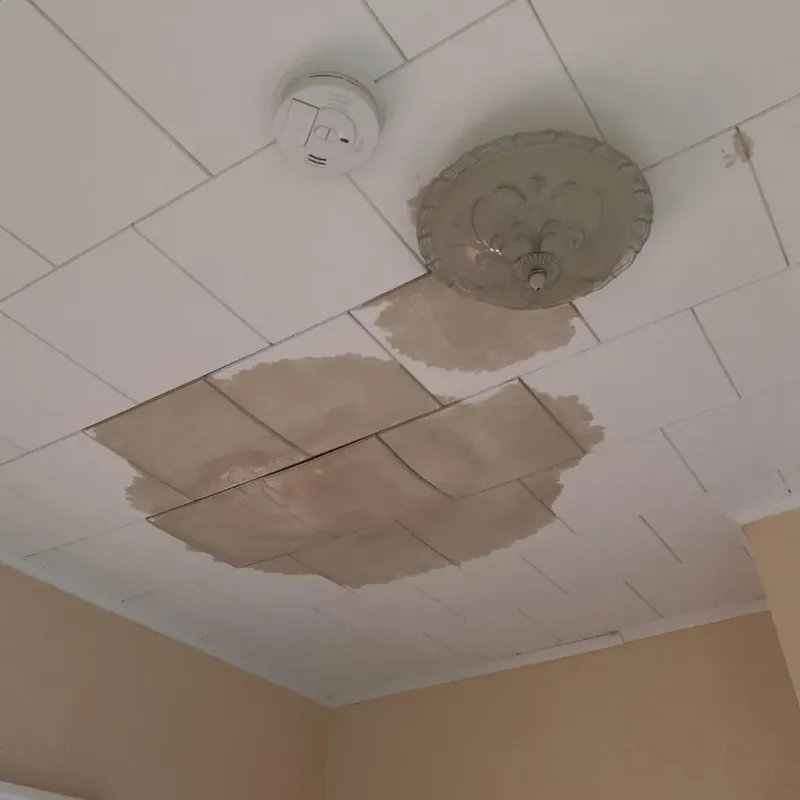 Ceiling Water Damage Repair in Ponchatoula, LA